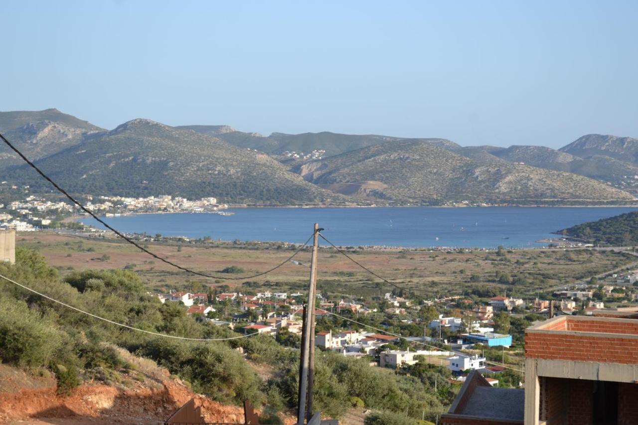 "Stergiou Luxury Apartments" Με Κοινη Πισινα Saronida Eksteriør billede